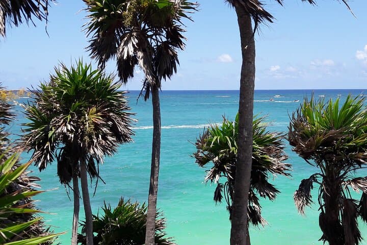 Private Tulum Boat Tour & Turtle Snorkeling Experience photo 3