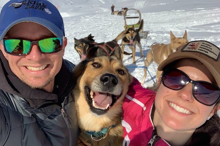 Dog Sledding in Willow: 90-Minute Iditarod Kennel Ride with Denali Views photo 5