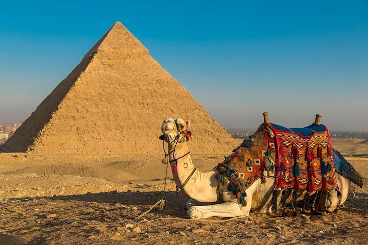 8-Day Egypt Holiday: Pyramids of Cairo & Red Sea Snorkeling in Hurghada photo 4