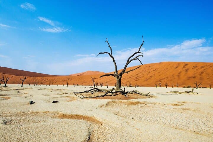 15 Days All About Namibia: Guided Lodge Safari from Windhoek to the Namib photo 5