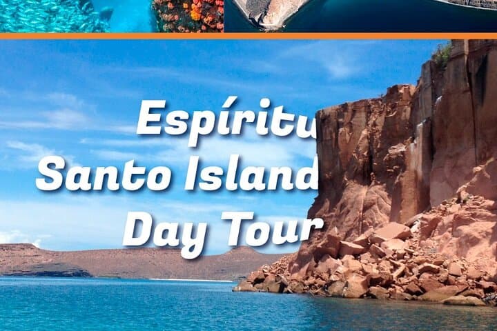 Explore Baja from La Paz: Private English-Speaking Driver for Custom Day Trips photo 3