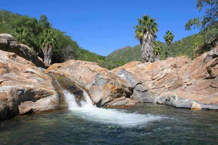 Explore Baja from La Paz: Private English-Speaking Driver for Custom Day Trips photo 5