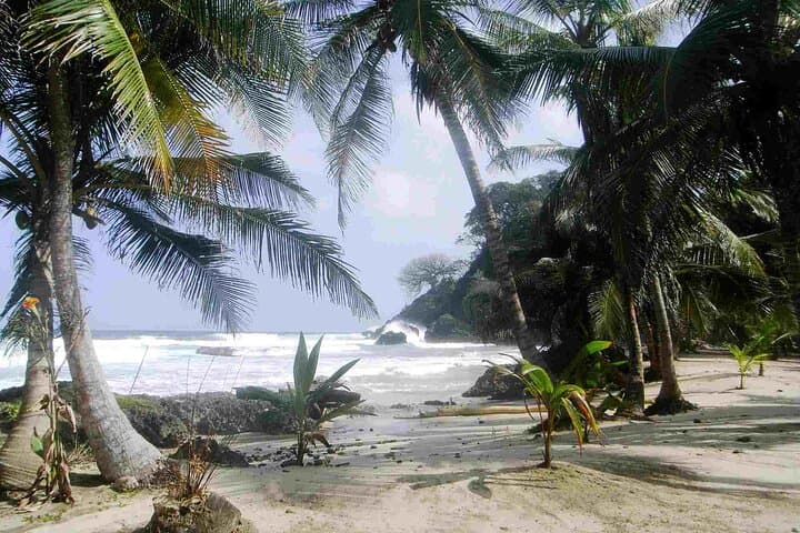 4-Day Colombian Caribbean Playground: Capurganá, Acandí & Leatherback Turtle Night Watch photo 4