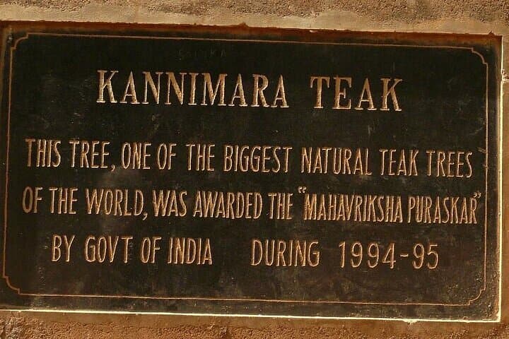 Full-Day Munnar Tour: Mattupetty, Top Station and Kurinjimala Sanctuary photo 4