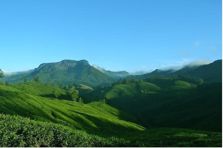Full-Day Munnar Tour: Mattupetty, Top Station and Kurinjimala Sanctuary photo 5