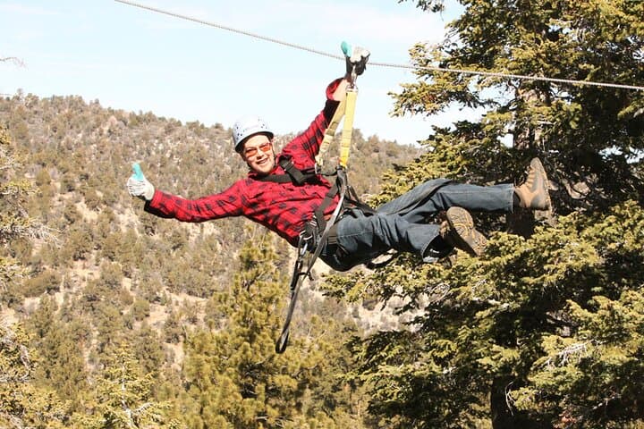 Big Bear High-Speed Zipline Tour: 9 Ziplines & Suspension Bridge Adventure photo 4