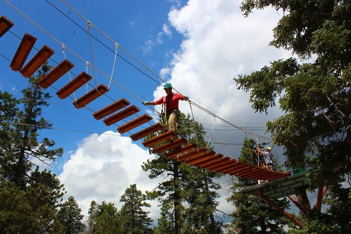 Big Bear High-Speed Zipline Tour: 9 Ziplines & Suspension Bridge Adventure photo 5