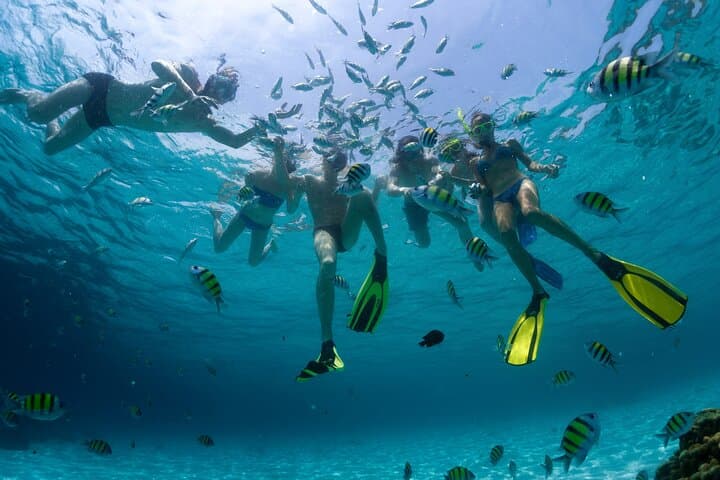 Catamaran to Isla Mujeres: Snorkel Coral Reefs & Beach Club with Hotel Pickup photo 5