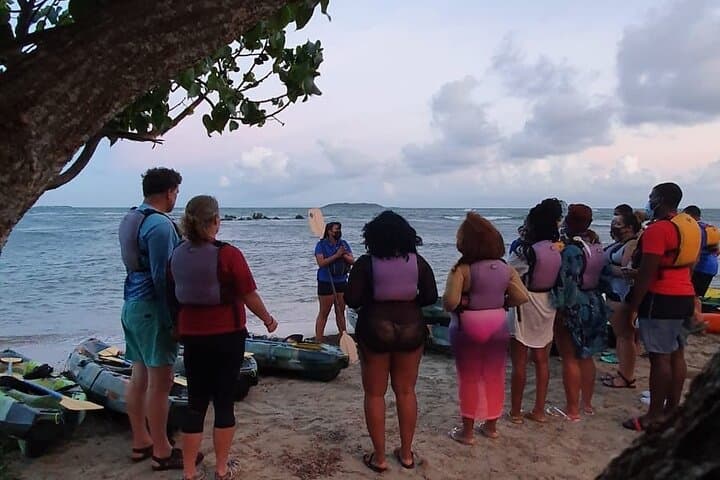 Fajardo Bioluminescent Bay Night Kayak Adventure — Laguna Grande Guided Tour photo 5