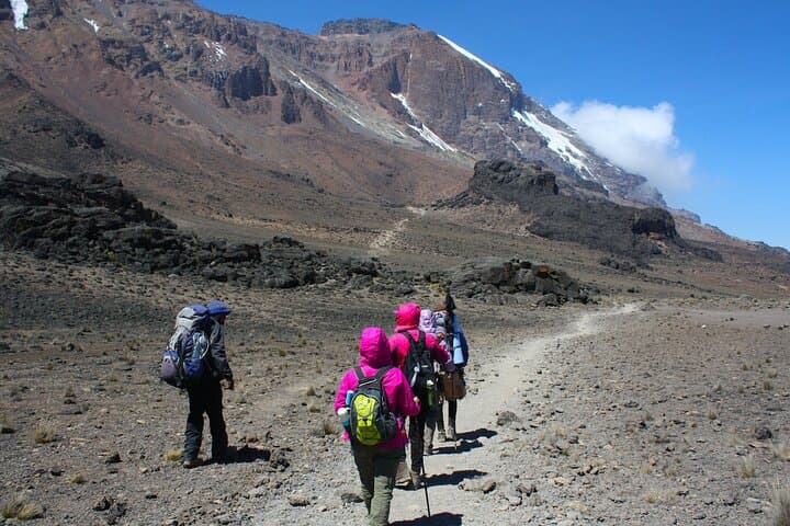 8-Day Machame Route Kilimanjaro Trek: Complete Summit Guide photo 6