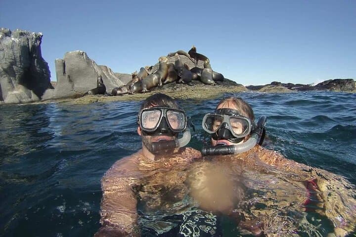 Coronado Island Day Trip from Loreto — Snorkel with Sea Lions in Loreto Bay photo 5