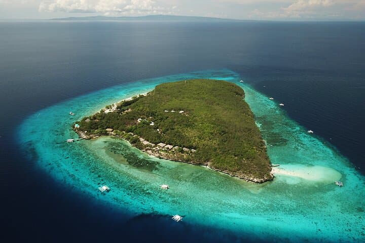 Swim with Whale Sharks & Sumilon Island Day Trip from Cebu photo 4