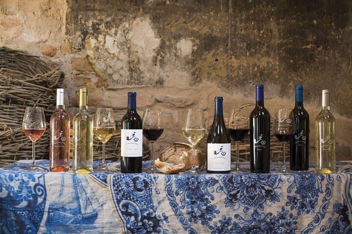 Half-Day Stellenbosch Winelands Private Wine Tour from Cape Town photo 6