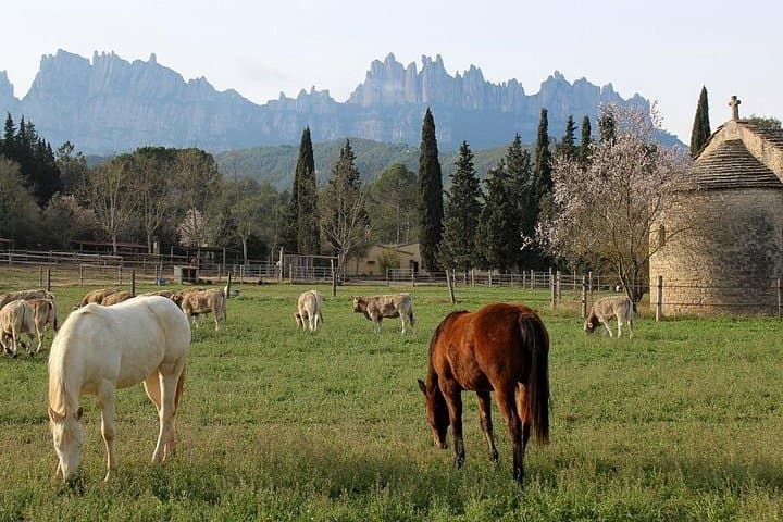Horseback Riding in Montserrat: 1–2 Hour Guided Trail Ride from Barcelona photo 4