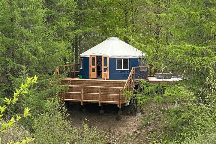 Private Glamping at Forest Tower — Overnight Escape from Copenhagen photo 3