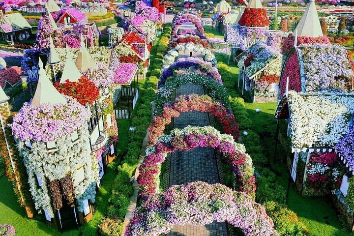 Explore Dubai Miracle Garden & Butterfly Garden: Practical Visitor Guide