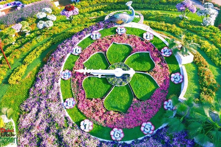 Explore Dubai Miracle Garden & Butterfly Garden: Practical Visitor Guide photo 2
