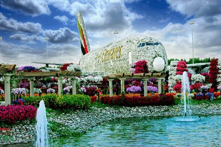 Explore Dubai Miracle Garden & Butterfly Garden: Practical Visitor Guide photo 5