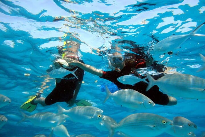 Private Catamaran to Lobos Island — Lagoon 421 Charters from Corralejo photo 4