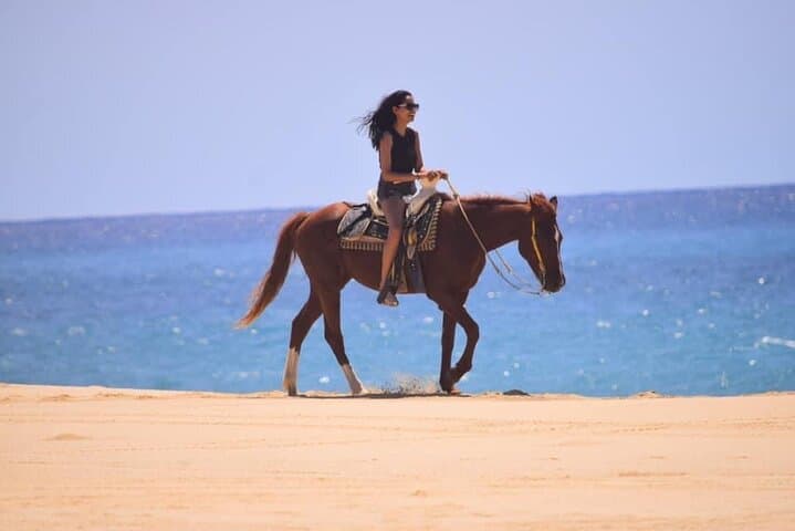 Cabo Horseback Riding: Pacific Coast & Desert Trail Ride (3 Hours)