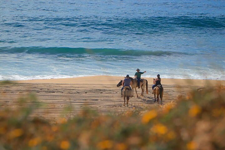 Cabo Horseback Riding: Pacific Coast & Desert Trail Ride (3 Hours) photo 2
