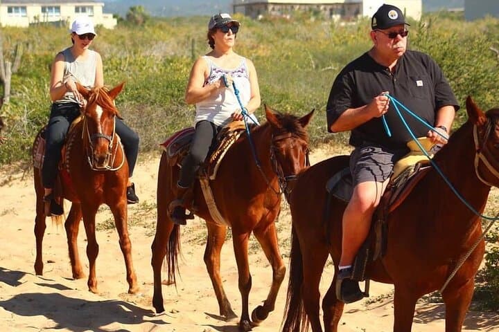 Cabo Horseback Riding: Pacific Coast & Desert Trail Ride (3 Hours) photo 4