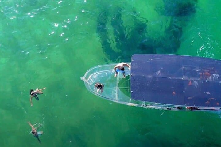 Glass-Bottom Boat to El Arco: Cabo's Marine Window photo 4