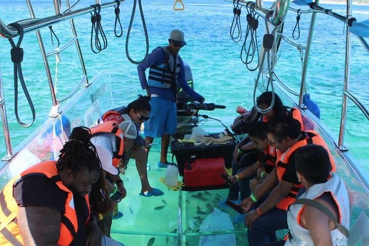 Glass-Bottom Boat to El Arco: Cabo's Marine Window photo 5