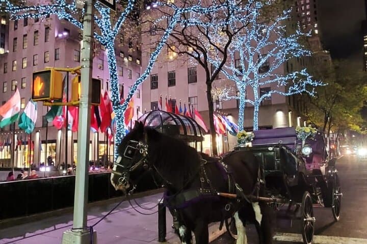 Central Park Christmas Lights Private Horse Carriage Ride — NYC Holiday Tour photo 6