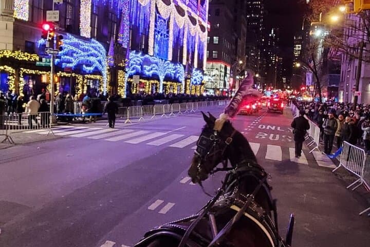 Central Park Christmas Lights Private Horse Carriage Ride — NYC Holiday Tour photo 4
