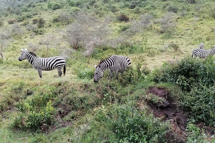 Hell's Gate Bike Safari from Nairobi — Naivasha Day Trip with Hippos & Gorges photo 3
