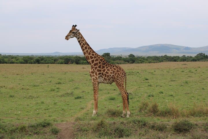 Hell's Gate Bike Safari from Nairobi — Naivasha Day Trip with Hippos & Gorges photo 6