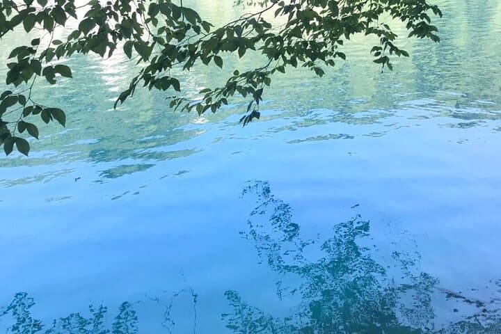 Private Mercedes Day Trip: Plitvice Lakes from Dubrovnik photo 3