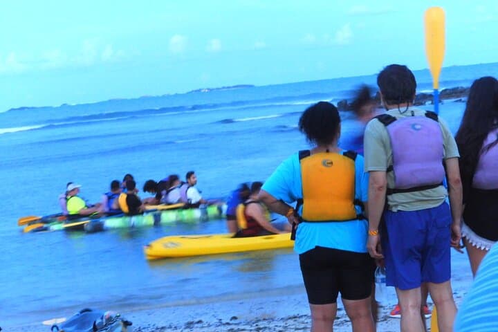 El Yunque to Luquillo: Full-Day Rainforest Hike, Beach Break & Laguna Grande Bio Bay Kayak photo 4