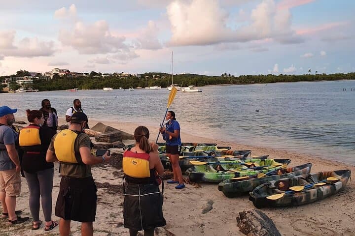 Fajardo Bioluminescent Bay Night Kayak Adventure — Laguna Grande Guided Tour photo 3