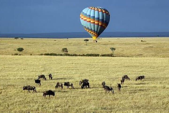 4-Day Masai Mara & Lake Naivasha Safari from Nairobi: Big Game, Birds and Rift-Valley Views photo 5
