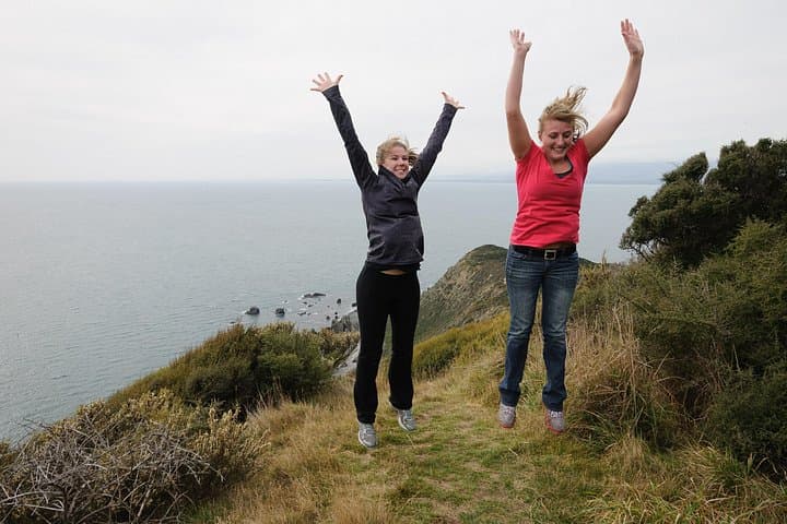 Kapiti Island Classic Guided Day Tour — Wildlife Walks & Ferry from Paraparaumu photo 3