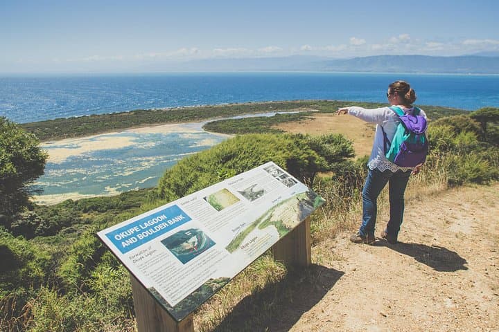 Kapiti Island Classic Guided Day Tour — Wildlife Walks & Ferry from Paraparaumu photo 4