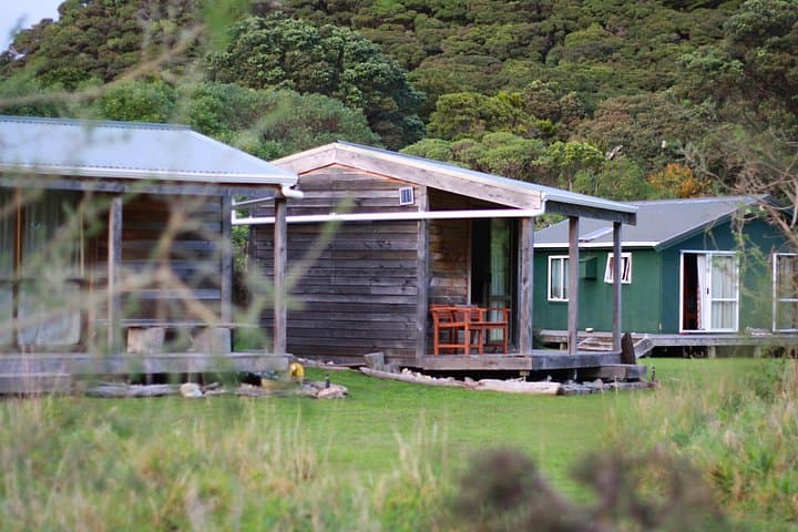 Overnight Kiwi-Spotting Tour on Kapiti Island: Sleep Among Native Birds photo 4