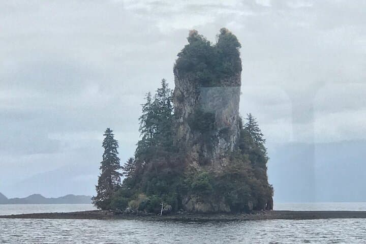 Ketchikan Whale Watching and Nature Tour — Revillagigedo Island Wildlife Cruise photo 5