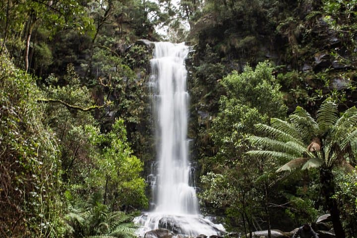 Private Great Ocean Road Tour: 12 Apostles, Koalas & Gourmet Coastal Stops photo 3