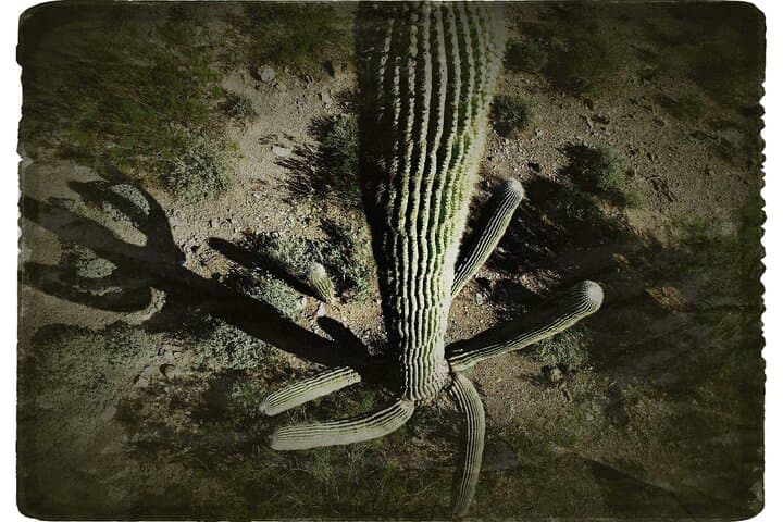 Creative Soul Scavenger Hunt in Sabino Canyon & Catalina State Park, Tucson photo 3