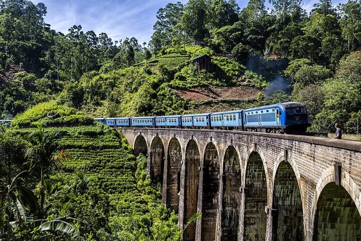 11-Day Private Sri Lanka Tour: Sigiriya, Tea Country, Yala Safari & Coastal Highlights