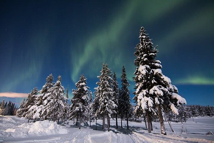 Chase the Northern Lights from Kiruna — Guided Minivan Aurora Tour photo 3