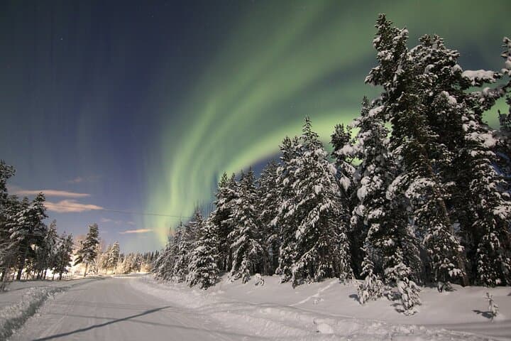 Chase the Northern Lights from Kiruna — Guided Minivan Aurora Tour photo 4