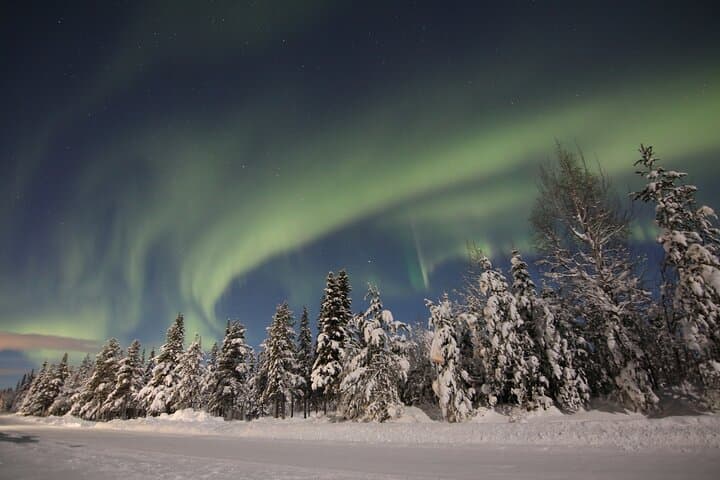 Chase the Northern Lights from Kiruna — Guided Minivan Aurora Tour photo 6