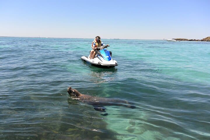 Perth Jet Ski Tours: Cockburn Sound & Garden Island Eco and Blast Rides photo 2