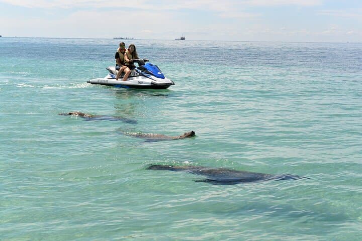 Perth Jet Ski Tours: Cockburn Sound & Garden Island Eco and Blast Rides photo 5