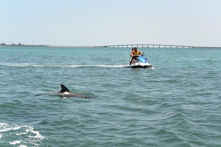 Perth Jet Ski Tours: Cockburn Sound & Garden Island Eco and Blast Rides photo 3