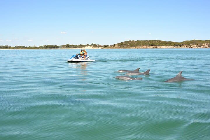 Perth Jet Ski Tours: Cockburn Sound & Garden Island Eco and Blast Rides